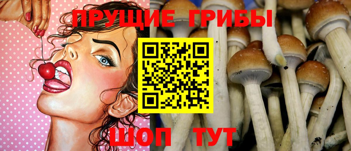 Галлюциногенные грибы мухоморы  Вход с VPN  Гатчина  Псилоцибиновые грибы мухоморы 